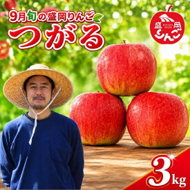 【ふるさと納税】 先行予約 訳あり 9月旬の盛岡りんご つがる 3kg 残暑りんご 盛岡りんご りんご 果物 フルーツ 林檎 リンゴ 国産 産地直送 くだもの お取り寄せ デザート ご当地 家庭用 ブランド 朝食 おやつ 新鮮 岩手県 盛岡市 東北 岩手 盛岡 りんご工房きただ RKK001