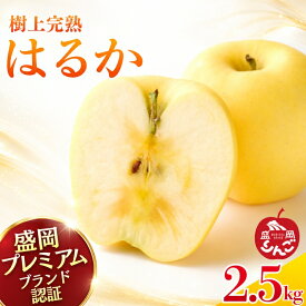 【ふるさと納税】 先行予約 はるか りんご 2.5kg 樹上完熟 盛岡プレミアムブランド認証 贈答 フルーツ 果物 デザート 希少 高級 高級食材 特別栽培 旬のフルーツ 旬の果物 旬 冬 国産 林檎 リンゴ 産地直送 農家直送 岩手県 盛岡市 東北 岩手 盛岡 りんご工房きただ RKK004