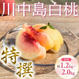 【ふるさと納税】特撰 白桃 期間限定 約1.2kg~約2.0kg 川中島白桃 8月下旬発送 先行予約 白桃 完熟 もも モモ 果物 くだもの 産地直送 農家直送 デザート 詰め合わせ 贈答 ギフト 新鮮 甘い ピーチ 夏 2026 特産品 岩手県 盛岡市 東北 岩手 盛岡 ふじむら農園 fujimura003P