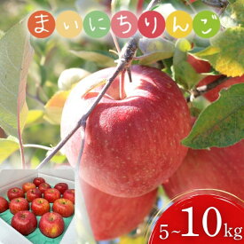 【ふるさと納税】 先行予約 訳あり りんご サンフジ 家庭用 5kg~10kg 5kg 10kg 林檎 リンゴ 果物 くだもの フルーツ 旬の果物 旬のフルーツ 季節の果物 季節のフルーツ 岩手県 盛岡市 東北 岩手 盛岡 ふじむら農園 fujimura005P