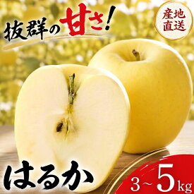 【ふるさと納税】 先行予約 りんご はるか 3kg 5kg 完熟 訳あり 林檎 リンゴ 果物 くだもの フルーツ 旬の果物 旬のフルーツ 季節の果物 季節のフルーツ 岩手県 盛岡市 東北 岩手 盛岡 ふじむら農園 fujimura007P