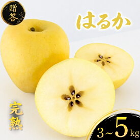 【ふるさと納税】 先行予約 りんご はるか 完熟 贈答 3kg~5kg 3kg 5kg 林檎 リンゴ 果物 くだもの フルーツ 旬の果物 旬のフルーツ 季節の果物 季節のフルーツ 岩手県 盛岡市 東北 岩手 盛岡 ふじむら農園 fujimura009P