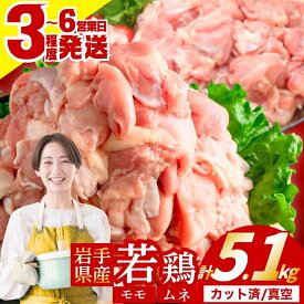 【ふるさと納税】 岩手県産若鶏【小分け・カット済・定期便】 鶏肉 若鶏 鶏もも 鶏むね バラエティ 真空 カット済 定期便 冷凍 もも むね もも肉 むね肉 セット 手軽 時短 唐揚げ 焼鳥 チキン 弁当 おかず ごはん 岩手県 盛岡市 東北 岩手 盛岡 肉の横沢 yokosawa001P