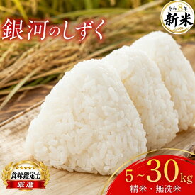 【ふるさと納税】 新米 米 無洗米 8年産 銀河のしずく 5kg 10kg 20kg 30kg 選べる 精米 お米 定期便 先行予約 白米 コメ おこめ ライス 精米 ブランド 人気 おすすめ 岩手県 盛岡市 岩手産 岩手県産 岩手 盛岡 ファインリョーコク fine001gP