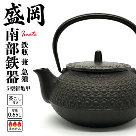 【ふるさと納税】 南部鉄器 急須 鉄瓶 茶こし付き IH不可 岩鋳 亀甲模様 5型新亀甲 縁起 伝統工芸品 日本製 窯焼き 調理 アウトドア 職人 直火 白湯 お茶 緑茶 煎茶 調理器具 岩手県 盛岡市 東北 岩手 盛岡 株式会社岩鋳