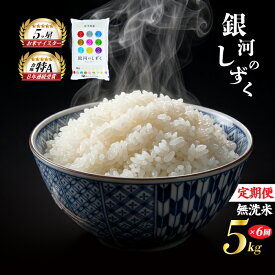 【ふるさと納税】 銀河のしずく 無洗米 5kg 米 定期便 6回 6ヶ月 連続 お届け 盛岡市産 いわて米 ブランド米 精米 白米 米 お米 こめ コメ ライス ご飯 ごはん 美味しい おすすめ贈り物 ぎんがのしずく 国産 産地直送 盛岡 佐々木米穀店