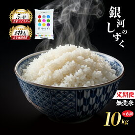 【ふるさと納税】 銀河のしずく 無洗米 10kg 5kg×2袋 米 定期便 6回 6ヶ月 連続 お届け 盛岡市産 いわて米 ブランド米 精米 白米 米 お米 こめ コメ ライス ご飯 ごはん 美味しい おすすめ贈り物 ぎんがのしずく 国産 産地直送 盛岡 佐々木米穀店
