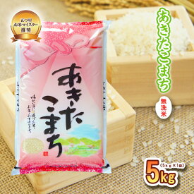 【ふるさと納税】 あきたこまち 無洗米 5kg 令和7年産 盛岡市産 岩手 米 お米 白米 ブランド米 いわて米 秋田こまち 精米 白米 米 お米 こめ コメ ライス ご飯 ごはん 美味しい 贈り物 国産 岩手県 盛岡市 お取り寄せ 産地直送 盛岡 佐々木米穀店