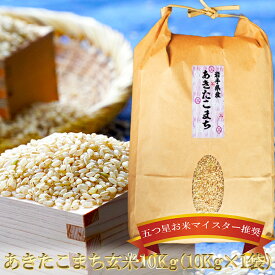【ふるさと納税】 あきたこまち 玄米 10kg 5kg×2袋 盛岡市産 岩手 米 お米 ブランド米 いわて米 秋田こまち 五つ星 お米マイスター 推奨 こめ コメ ライス ご飯 ごはん 美味しい 贈り物 国産 岩手県産 岩手県 盛岡市 産地直送 盛岡 佐々木米穀店