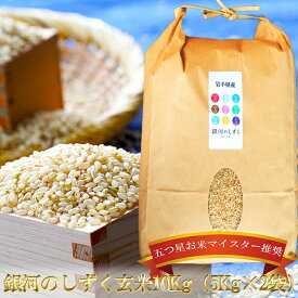 【ふるさと納税】 五つ星お米マイスター 厳選 盛岡市産 銀河のしずく 10kg 5kg×2袋 玄米 米 こめ コメ お米 ご飯 ごはん ライス グルメ 五つ星 5つ星 5ツ星 お米マイスター 5kg 5キロ 単品 単一原料米 銘柄米 小分け 国産 産地直送 盛岡 佐々木米穀店