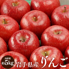 【ふるさと納税】ふじむら農園の盛岡りんご『サンふじ』約5kg（ご家庭用）【季節限定・数量限定】　【 果物類 美味しい 生産 大人気 果汁 果肉 やや硬い シャキシャキ 食感 絶品 高糖度 蜜 】　お届け：2024年12月中旬～2025年2月末