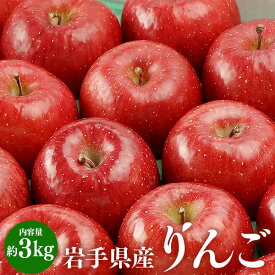 【ふるさと納税】ふじむら農園の盛岡りんご『サンふじ』約3kg（ご家庭用）【季節限定・数量限定】　【 果物類 美味しい 生産 大人気 果汁 果肉 やや硬い シャキシャキ 食感 絶品 高糖度 蜜 】　お届け：2024年12月中旬～2025年2月末