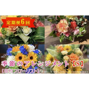 yӂ邳Ɣ[ŁzG߂̃AWg S  6yct[Xgz  A 蕨 a j zCgf[ o^C ̓ ̓ LO  ސE Mtg