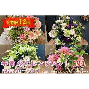 yӂ邳Ɣ[ŁzG߂̃AWg M  12yct[Xgz  A 蕨 a j zCgf[ o^C ̓ ̓ LO  ސE Mtg G