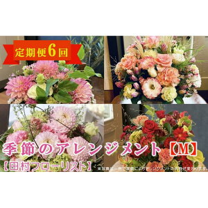 yӂ邳Ɣ[ŁzG߂̃AWg M  6yct[Xgz  A 蕨 a j zCgf[ o^C ̓ ̓ LO  ސE Mtg G