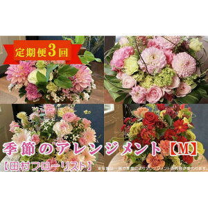 yӂ邳Ɣ[ŁzG߂̃AWg M  3yct[Xgz  A 蕨 a j zCgf[ o^C ̓ ̓ LO  ސE Mtg G