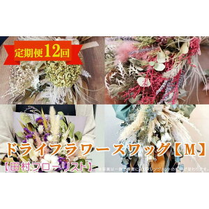 yӂ邳Ɣ[ŁzhCt[XbO M  12yct[Xgz  A 蕨 a j zCgf[ o^C ̓ ̓ LO  ސE Mtg