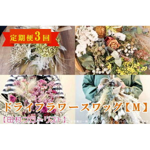 yӂ邳Ɣ[ŁzhCt[XbO M  3yct[Xgz  A 蕨 a j zCgf[ o^C ̓ ̓ LO  ސE Mtg