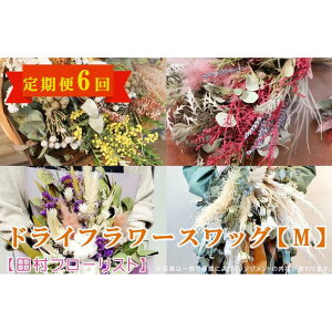 yӂ邳Ɣ[ŁzhCt[XbO M  6yct[Xgz  A 蕨 a j zCgf[ o^C ̓ ̓ LO  ސE Mtg
