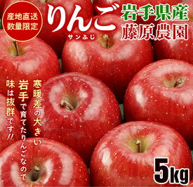 【ふるさと納税】 りんご サンふじ 5kg 14~20玉 季節限定 リンゴ 林檎 産地直送 新鮮 アップル くだもの 果物 フルーツ ふじ 旬 今が旬 フジ 盛岡りんご 岩手産 国産 農家 岩手県 盛岡市 岩手 盛岡 藤原農園 有限会社トゥレイス treis004
