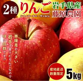 【ふるさと納税】 りんご サンふじ シナノゴールド 計5kg 14~20玉 季節限定 ミックス リンゴ 林檎 産地直送 新鮮 アップル くだもの 果物 フルーツ ふじ 岩手県 盛岡市 岩手 盛岡 有限会社トゥレイス treis005