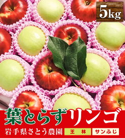 【ふるさと納税】 葉とらずりんご 王林 サンふじ 5kg 14~20玉 りんご 季節限定 ミックス リンゴ 林檎 産地直送 新鮮 アップル くだもの 果物 フルーツ ふじ 岩手県 盛岡市 岩手 盛岡 有限会社トゥレイス treis006