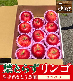 【ふるさと納税】 葉とらずりんご サンふじ 5kg りんご 季節限定 リンゴ 林檎 産地直送 新鮮 アップル くだもの 果物 フルーツ ふじ おうりん 旬 盛岡りんご 岩手産 国産 農家 岩手県 盛岡市 岩手 盛岡 有限会社トゥレイス treis007