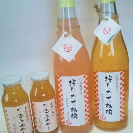 【ふるさと納税】佐々木果樹園 乙部角屋 搾りたて 林檎ジュース＆農家の蔵出し 濃厚りんごネクター 飲料 果汁飲料 飲み物 アップルジュース りんご100％ ストレート果汁 果肉入り