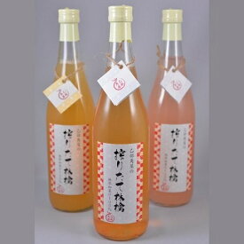 【ふるさと納税】佐々木果樹園 乙部角屋 搾りたて 林檎ジュース 720ml 3本 飲料 果汁飲料 飲み物 アップルジュース 砂糖不使用 保存料不使用 100％ストレート果汁