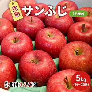yӂ邳Ɣ[Łzs\y1z kc񂲉 nTӂ 5kgi14`20ʁj ʕ t[c fU[g ʏ` Â _ oX @͂F2026N11`2026N131