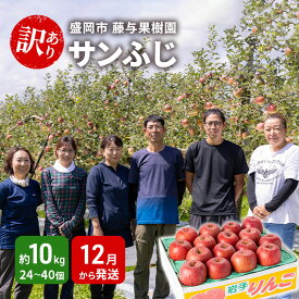 【ふるさと納税】盛岡から「農で人をつなぐ」藤与果樹園:《訳アリ》サンふじ10kg 藤与果樹園 訳アリ 不揃い 傷 規格外 フルーツ 果物 旬のフルーツ 旬の果物 旬 冬 岩手 盛岡 産地直送 11月から発送 お届け:2025年11月20日~2026年2月28日