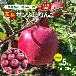 yӂ邳Ɣ[Łz s\ ƒp n Tӂ  5kg (16`20) cӂ[ t[c ʕ ~ { {̃t[c KiO  s s \ sY ь S  茧  