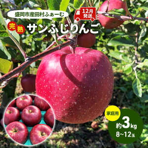 yӂ邳Ɣ[Łz s\ ƒp n Tӂ  3kg (8`12) cӂ[ t[c ʕ ~ { {̃t[c KiO  s s \ sY ь S  茧  