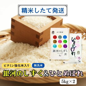 【ふるさと納税】★精米したてが1番！★令和5年産 盛岡市産 銀河のしずく・ひとめぼれ【無洗米・ビタミン強化米入り】5kg×2 ◆1等米のみを使用したお米マイスター監修の米◆　【 お米 白米 銘柄米 ご飯 】　お届け：2023年11月初旬より順次