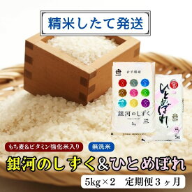 【ふるさと納税】★精米したてが1番！★令和5年産 盛岡市産 銀河のしずく・ひとめぼれ【無洗米・もち麦＆ビタミン強化米入り】5kg×2 『定期便3ヶ月』 ◆1等米のみを使用したお米マイスター監修の米◆　【定期便・ お米 白米 銘柄米 ご飯 】　お届け：2023年11月初旬より順次