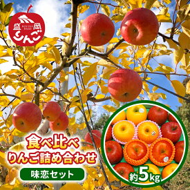 【ふるさと納税】先行予約 味恋セット 盛岡りんご 5種 5kg 12月発送 サンふじ こうこう はるか シナノゴールド こうとく 食べ比べ 詰め合わせ セット りんご 林檎 岩手県 盛岡市 東北 岩手 盛岡 朝島りんご生産組合 朝島観光りんご園 asashima005