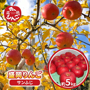 【ふるさと納税】先行予約【12月発送】朝島観光りんご園 盛岡りんご「サンふじ」約5kg 果物類 フルーツ デザート 果汁 甘い 酸味 バランス 完熟  お届け:2025年12月10日〜2025年12月下旬