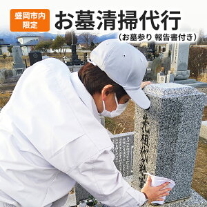 yӂ邳Ɣ[Łzsst搴|s iQ 񍐏j