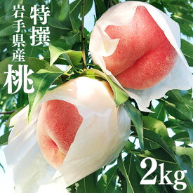 【ふるさと納税】特選 白桃 2kg 約5～8玉 ふじむら農園 桃 もも モモ 果物 くだもの フルーツ 旬の果物 旬のフルーツ ギフト 贈り物 プレゼント 岩手 岩手県 盛岡市　お届け：2025年8月16日～2025年9月15日