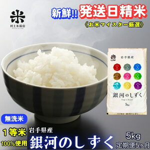 【ふるさと納税】★岩手の本気が生んだ米★『定期便5ヵ月』銀河のしずく《特A 7年連続獲得中!》【無洗米】5kg 令和7年産 盛岡市産 ◆新鮮!発送日精米・1等米のみを使用したお米マイスター