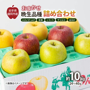 yӂ邳Ɣ[Łzy11甭z  u_ŐlȂv^ʎF܂Ӑilߍ킹i VimS[h   Tӂ ͂邩 j10kg 24`40 ʐw