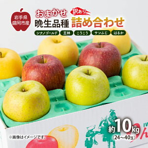 yӂ邳Ɣ[Łzy11甭z  u_ŐlȂv^ʎFs 󂠂 t܂Ӑilߍ킹i VimS[h   Tӂ ͂邩 j10kg 24`