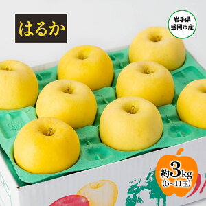 yӂ邳Ɣ[Łzy11甭z  u_ŐlȂv^ʎF ͂邩 3kg 6`11 ʐws lߍ킹  @͂F2025N1120`2026N228