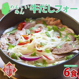 【ふるさと納税】無地熨斗 盛岡 めんこいめん 牛だしフォー 6食 グルテンフリー 米粉 麺 グルメ お取り寄せ ギフト お土産 手土産 ご当地 プレゼント ラーメン ベトナム 料理 めんこい 熨斗 のし 名入れ不可 送料無料 岩手県 盛岡市