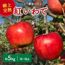 【ふるさと納税】 先行予約 紅いわて りんご 5kg 14〜16玉 盛岡りんご 贈答 生産者直送 林檎 リンゴ 果物 フルーツ 旬の果物 岩手県 盛岡市 東北 岩手 盛岡 峰崎果樹園 minezaki001
