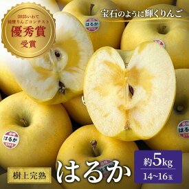 【ふるさと納税】 先行予約 はるか 樹上完熟 りんご 5kg 14〜16玉 希少 極上品 贈り物 プレゼント 完熟 フルーツ 果物 おやつ 冬 旬 旬のフルーツ 旬の果物 岩手県 盛岡市 東北 岩手 盛岡 峰崎果樹園 minezaki003