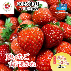 yӂ邳Ɣ[Łz Ăwˁx sʎRYnI 250g ` 300g × 2pbN  N[ ʌ  ʕ C`S @͂F2025N81`2025N1031