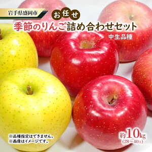 【ふるさと納税】【大櫻農園】盛岡 りんご 中生 「お任せ 季節のりんご詰め合わせ」約10kg(28〜40玉) お届け:2025年10月中旬〜2025年11月中旬