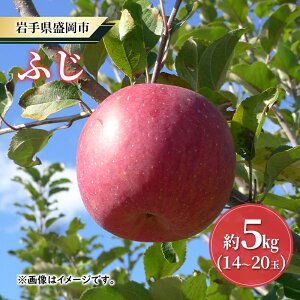 【ふるさと納税】【大櫻農園】ふじ 盛岡 完熟 りんご 約5kg(14〜20玉)  お届け:2025年11月中旬〜2025年12月下旬