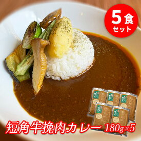 【ふるさと納税】肉専門レストラン「パイオニアファーム」　短角牛挽肉カレー5食セット【楽天】